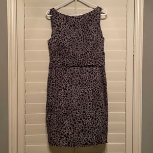 Ann Taylor Dress